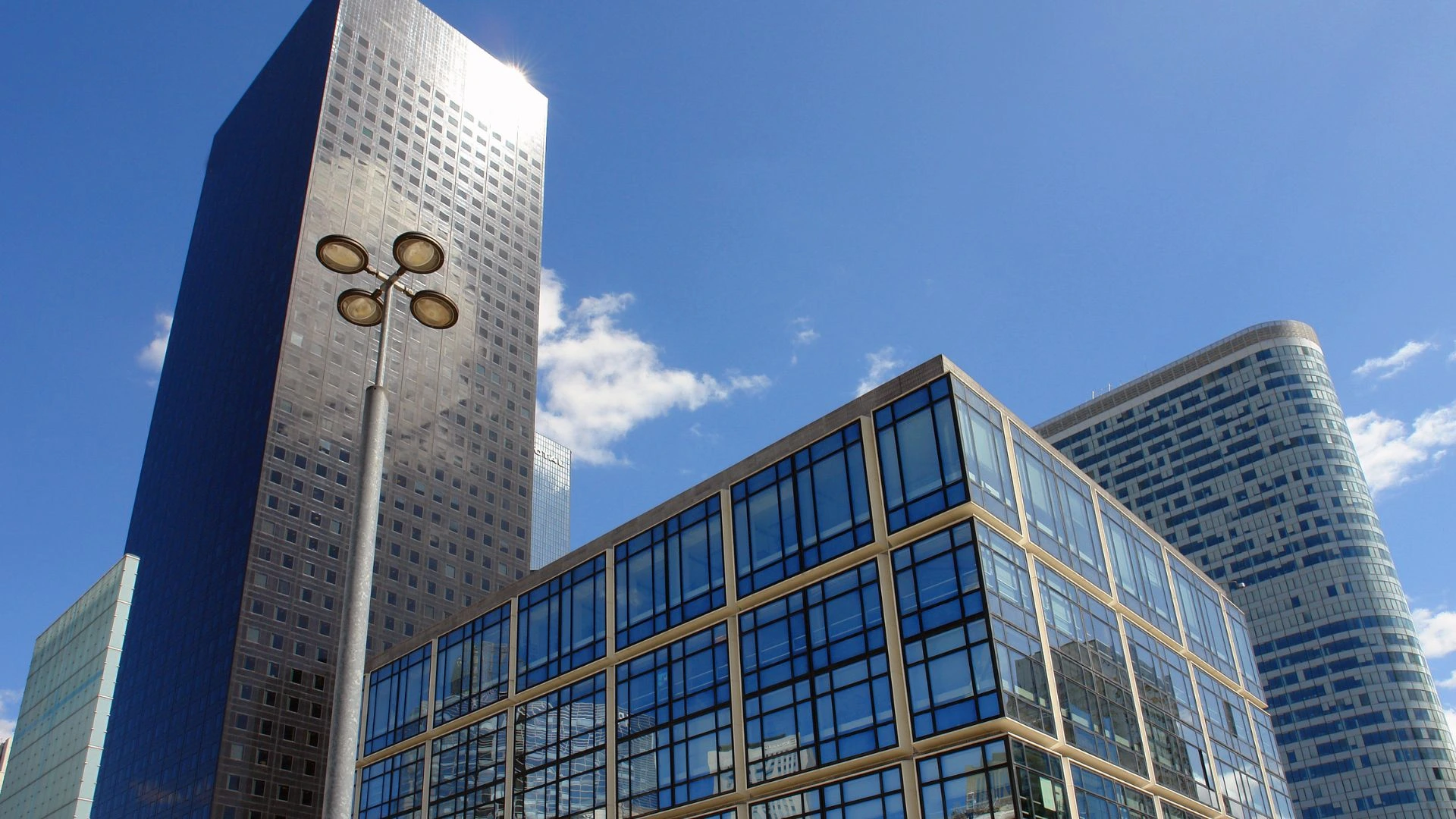 Insertion professionnelle